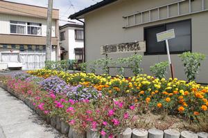 万年青会の花壇のようす