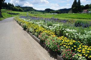 二本木花っこサロン花壇の写真