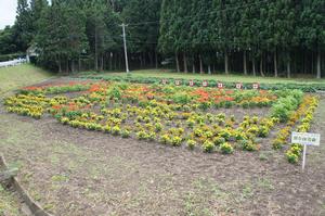 屋中自治会花壇の写真