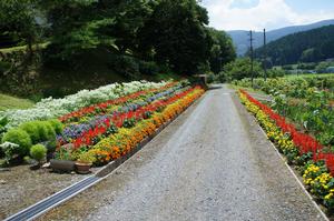 遠藤清子さんの花壇の写真
