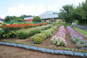 高橋せつ子さん花壇の写真