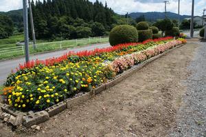 第14区自治会花壇の写真