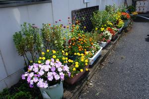 一関市社会福祉協議会 デイサービスセンター室根花壇の写真