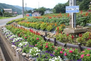 峠自治会 大町裏銀座会の花壇