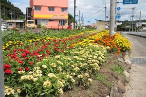 旭町自治会の花壇