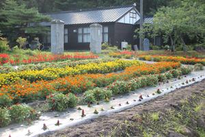 市之通自治会の花壇