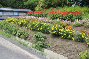 千葉啓子さんの花壇