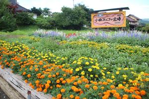 小西自治会の花壇