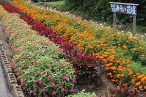 水沢集落公民館の花壇の写真