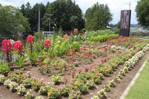 株式会社Myケアの花壇の写真