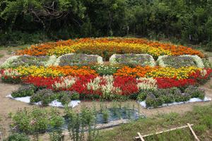 佐藤良彦さんの花壇の写真
