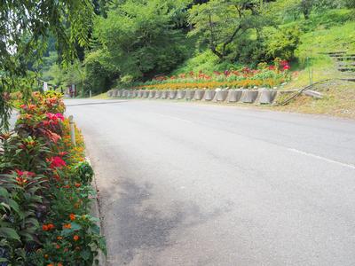 竹沢集落振興会