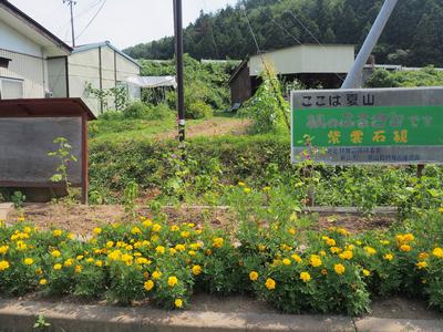 夏山父母の会・子供会