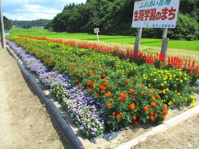 神子ノ沢自治会婦人部の花壇