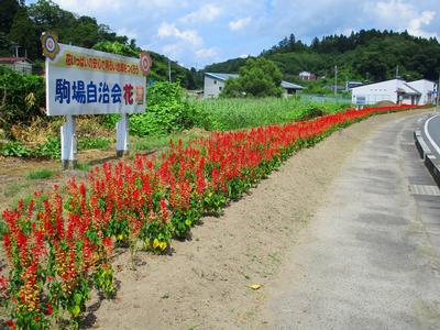 駒場自治会の花壇