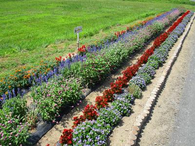 宝築ユートピアガーデンの花壇
