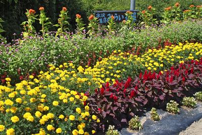 水沢集落公民館の花壇