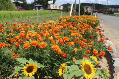 清水原集落公民館の花壇