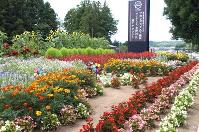 株式会社 Myケアの花壇