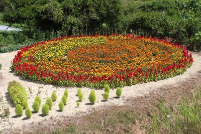 一本木集落公民館の花壇