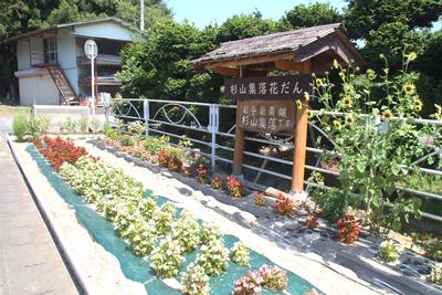 杉山契約組合の花壇