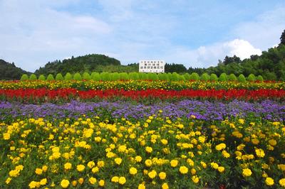 舞川地域遊美保全隊