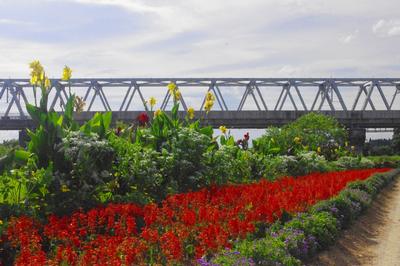 舞川第一区自治会