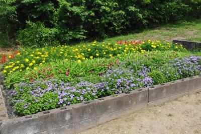 一関市立一関中学校 総合文化部