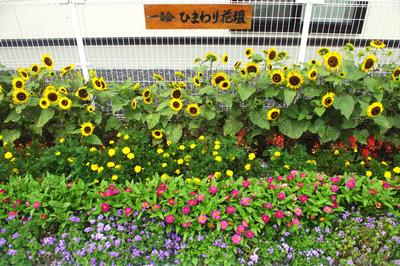 一関第一民区会老人クラブ一幸会