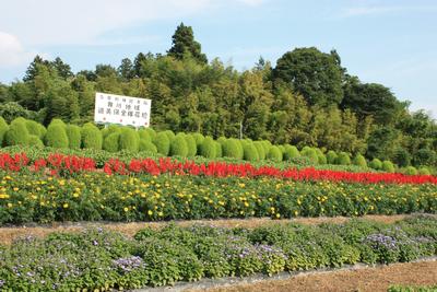 大規模花壇部門 市長賞
