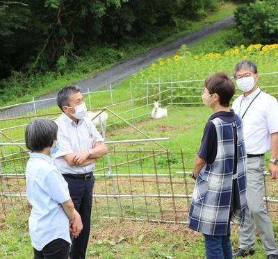 ヤギの視察