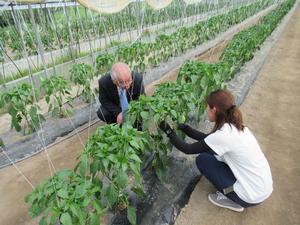 新規就農者との懇談、現地視察の様子