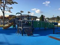 複合型遊具の全景