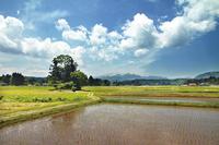 初夏の本寺から望む須川岳