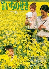 広報いちのせき平成19年6月1日号表紙