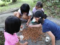 放課後子ども教室事業活動の様子