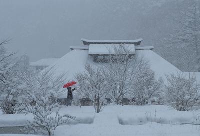 雪の朝 足利義信