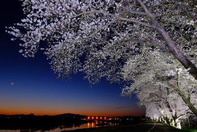 栗原マジック ほっしー