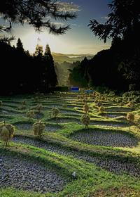 棚田の夜明け 藤江健一