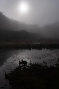 迷い込む shuちゃんちゃん