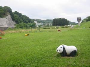 磐井川緑地の様子