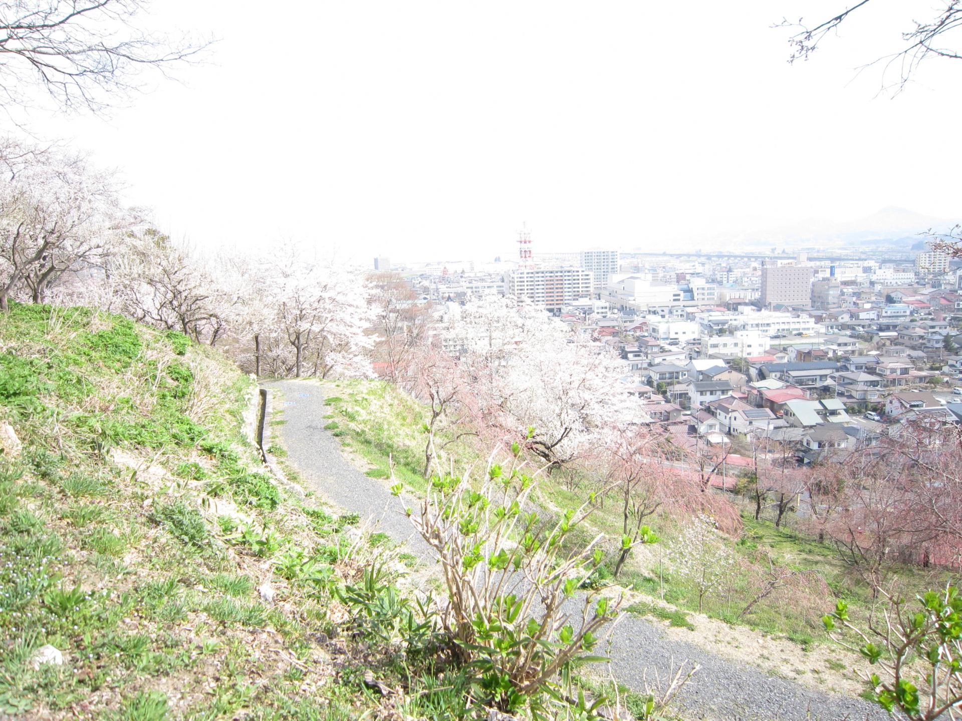 釣山公園のようす