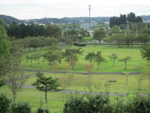 一関遊水地記念緑地公園外観写真