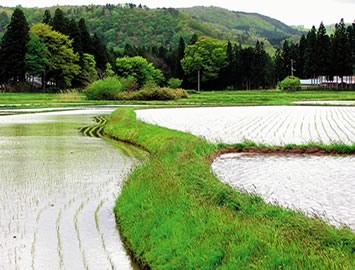 現在の骨寺村荘園遺跡の風景2