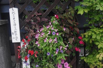 銅谷民区の受賞プランター