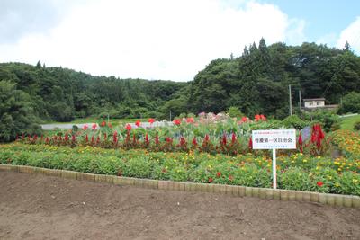 曽慶第1区自治会の受賞花壇