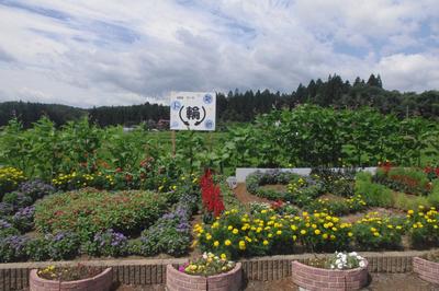 霜後区の受賞花壇