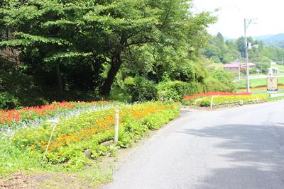 佐藤信造さんの受賞花壇