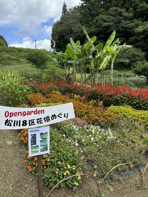 松川8区自治会の受賞花壇