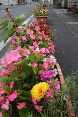 松川第10区自治会の受賞プランター